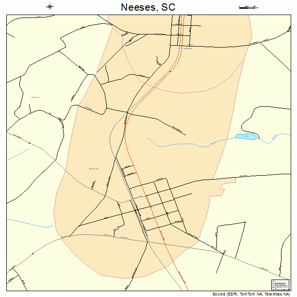 Neeses, SC street map
