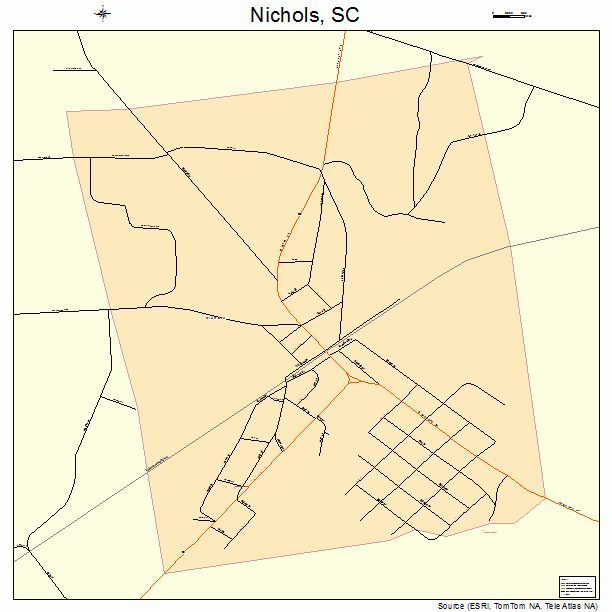 Nichols, SC street map
