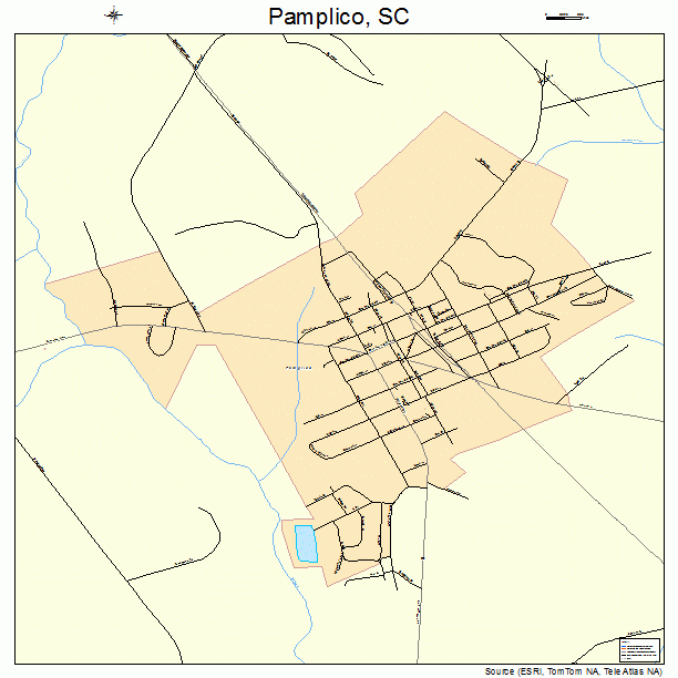Pamplico, SC street map