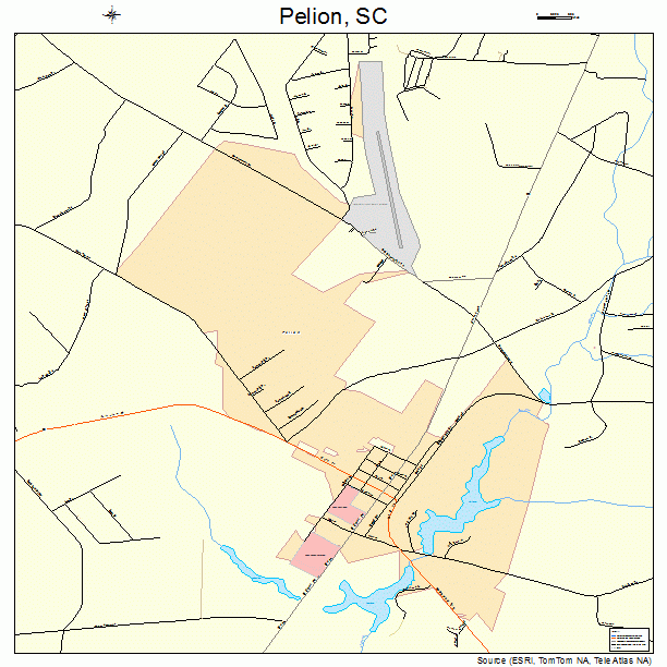 Pelion, SC street map