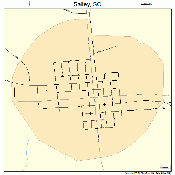 Salley, SC street map