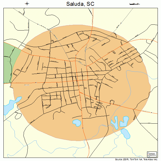 Saluda, SC street map