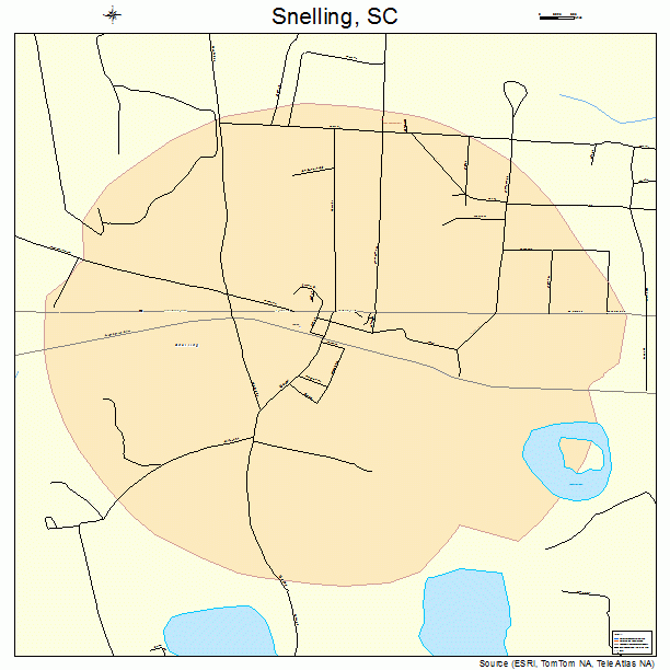 Snelling, SC street map