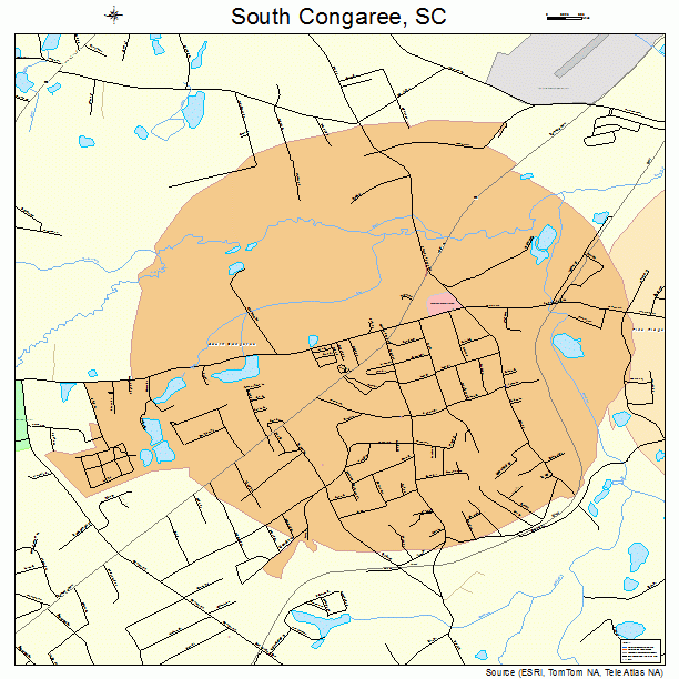 South Congaree, SC street map