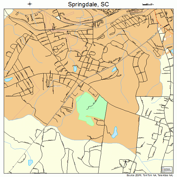 Springdale, SC street map
