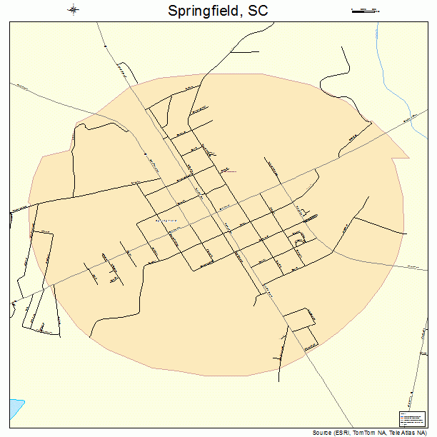 Springfield, SC street map