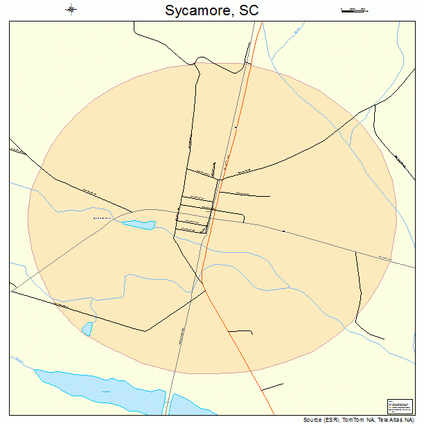 Sycamore, SC street map