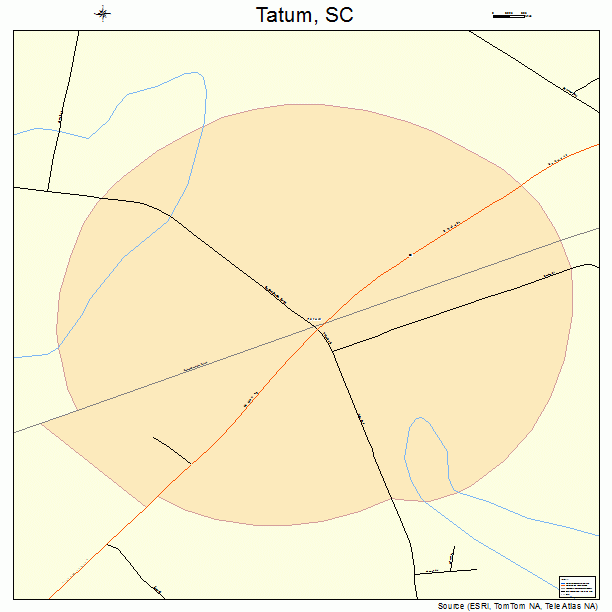 Tatum, SC street map