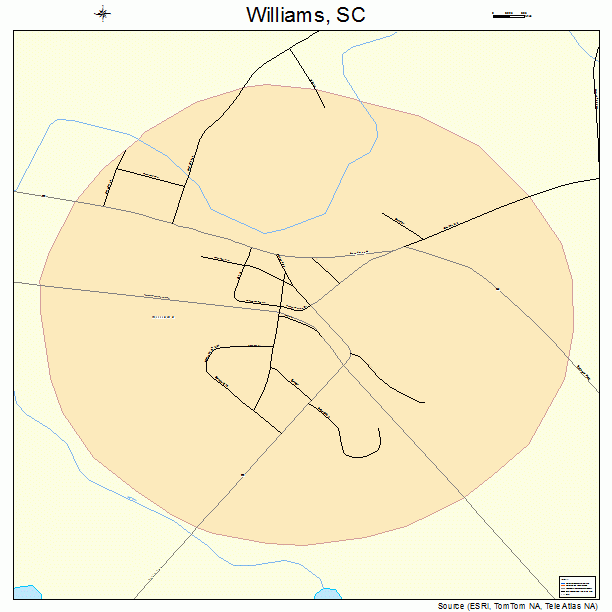 Williams, SC street map