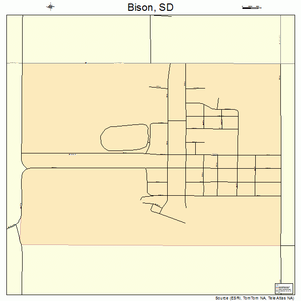 Bison, SD street map