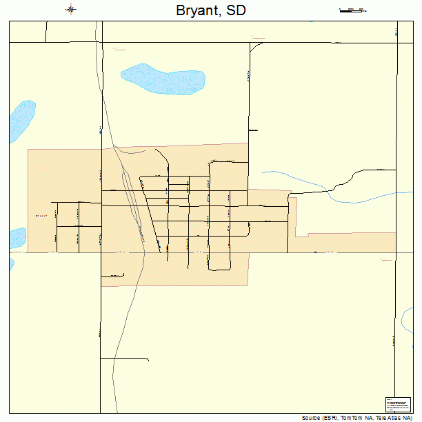 Bryant, SD street map