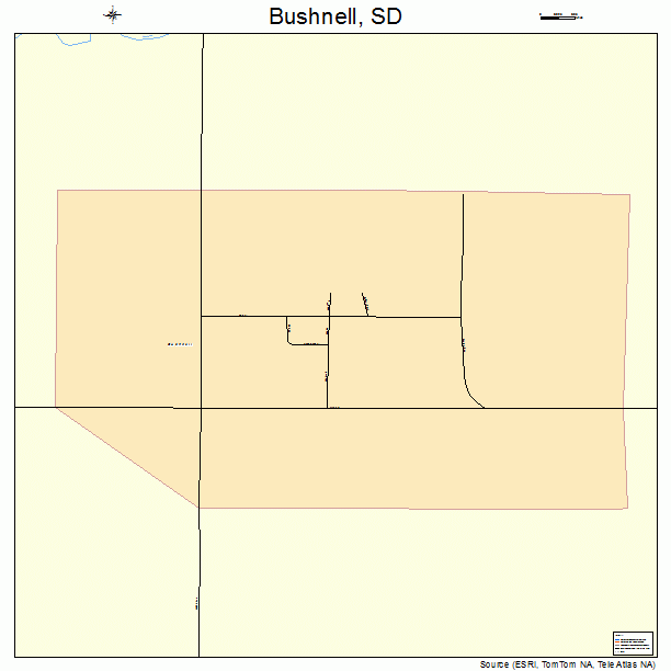 Bushnell, SD street map