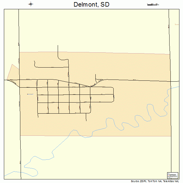 Delmont, SD street map