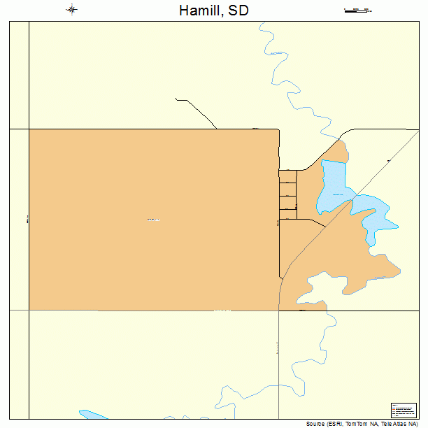 Hamill, SD street map