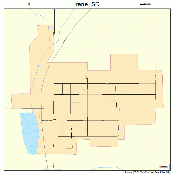 Irene, SD street map