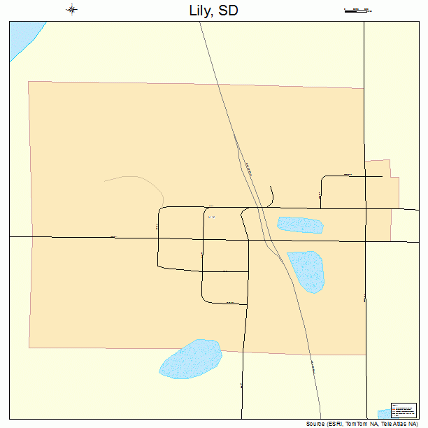 Lily, SD street map