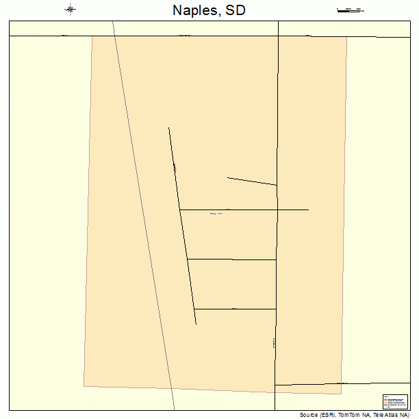 Naples, SD street map