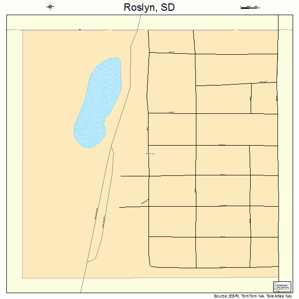 Roslyn, SD street map