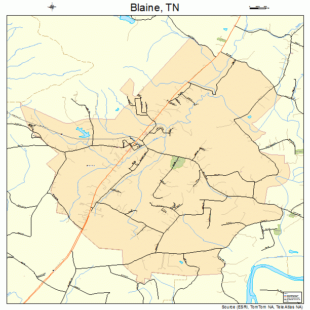 Blaine, TN street map