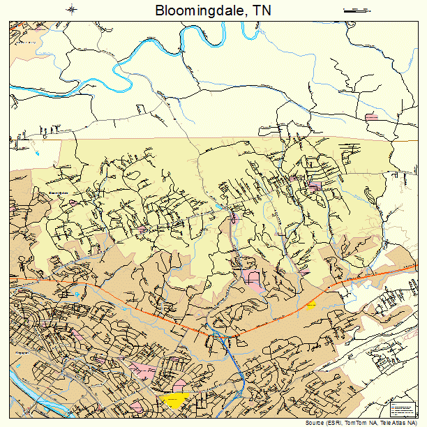 Bloomingdale, TN street map