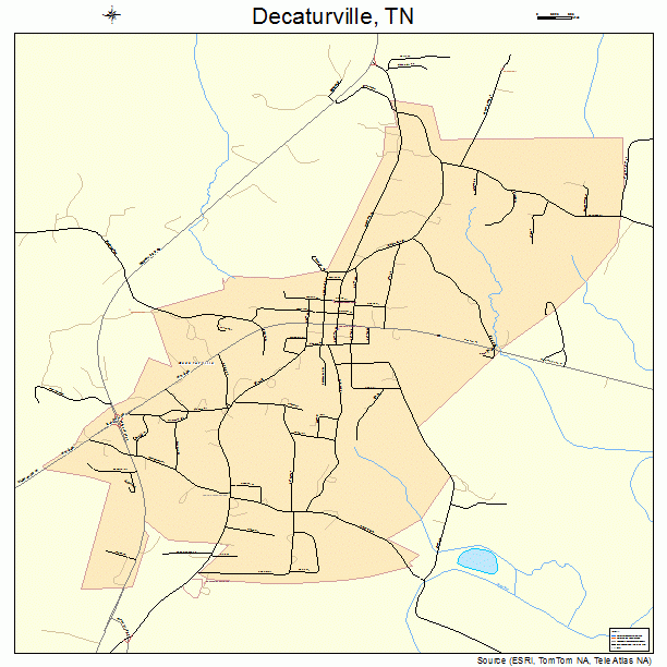 Decaturville, TN street map
