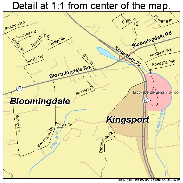 Bloomingdale, Tennessee road map detail