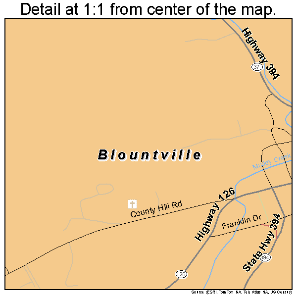 Blountville, Tennessee road map detail