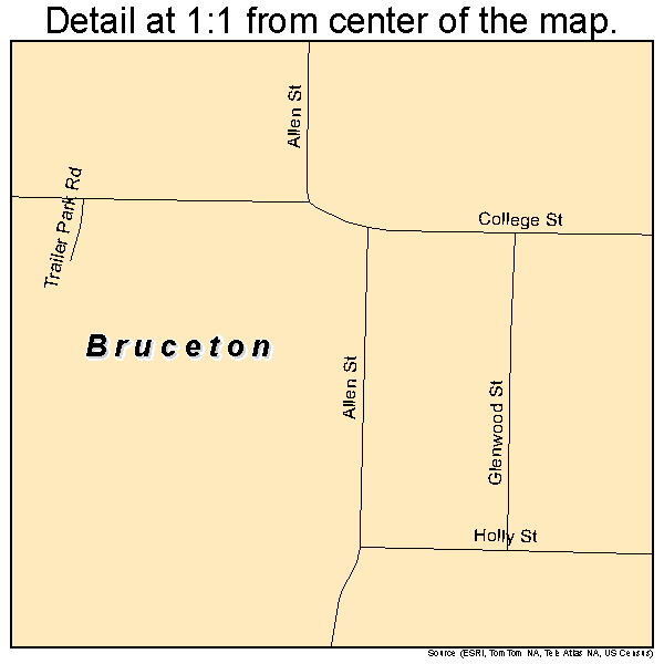 Bruceton, Tennessee road map detail