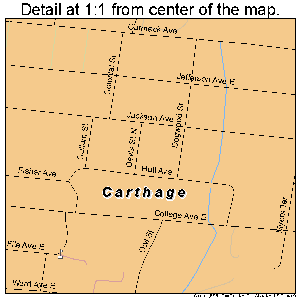 Carthage, Tennessee road map detail