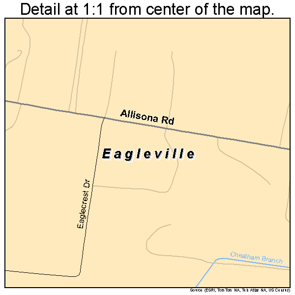 Eagleville, Tennessee road map detail