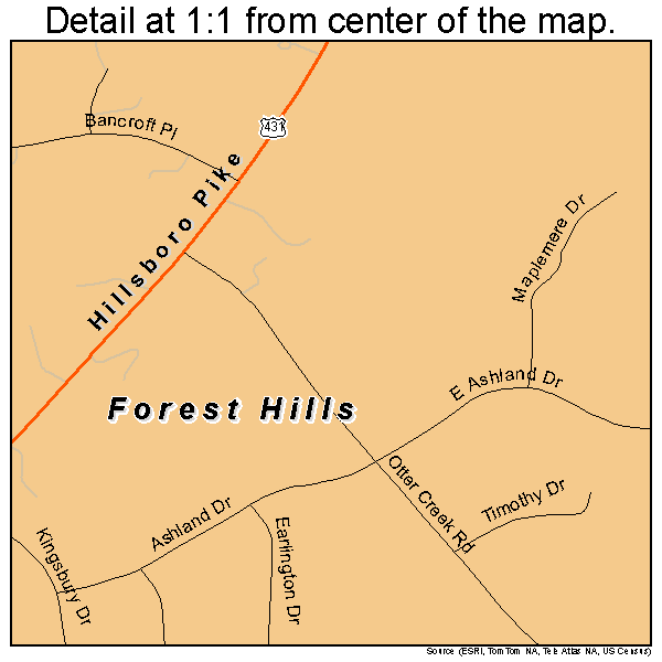 Forest Hills, Tennessee road map detail