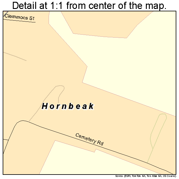 Hornbeak, Tennessee road map detail