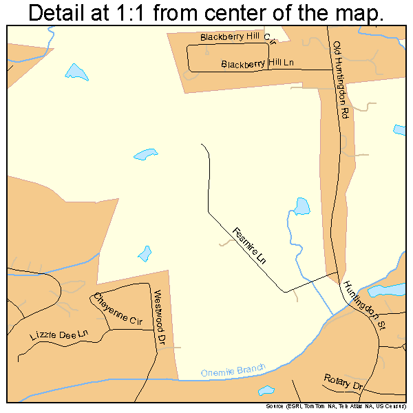 Lexington, Tennessee road map detail