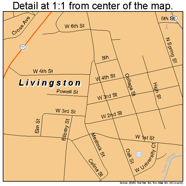 Livingston, Tennessee road map detail