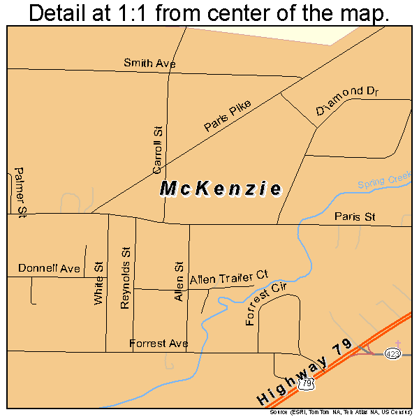 McKenzie, Tennessee road map detail