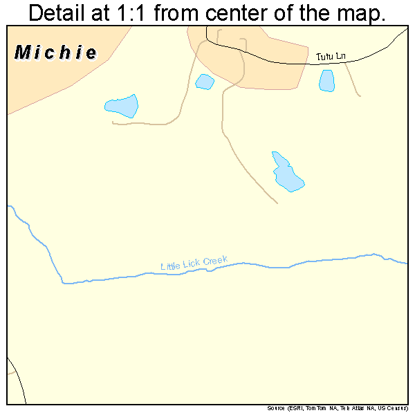 Michie, Tennessee road map detail