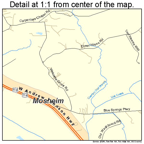 Mosheim, Tennessee road map detail