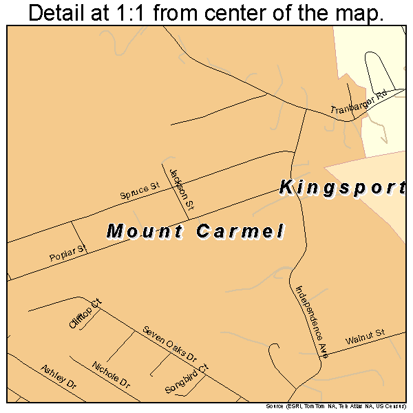 Mount Carmel, Tennessee road map detail