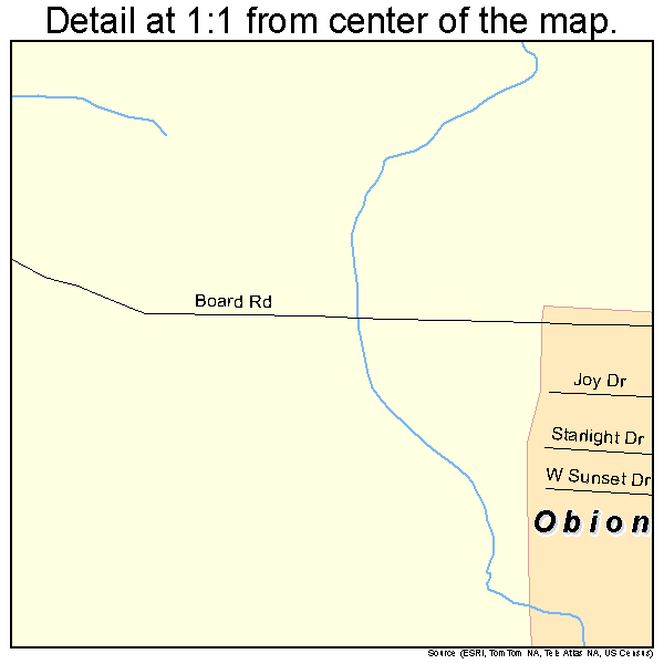 Obion, Tennessee road map detail