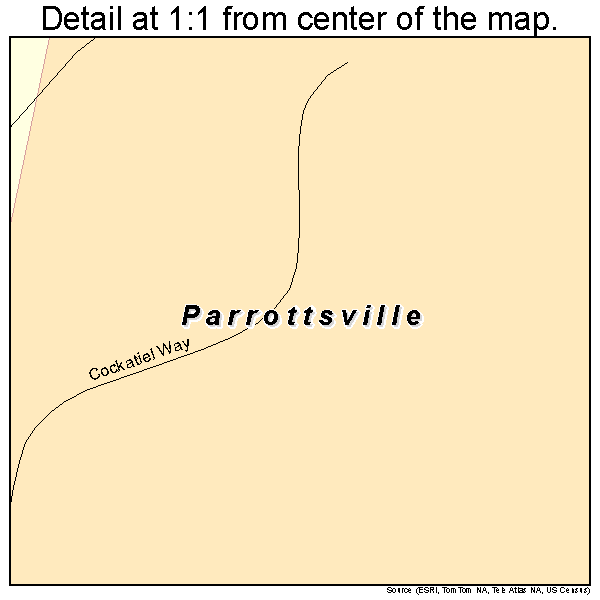 Parrottsville, Tennessee road map detail