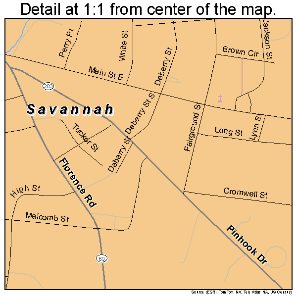 Savannah, Tennessee road map detail