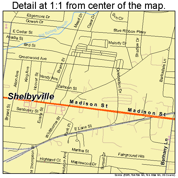 Shelbyville, Tennessee road map detail