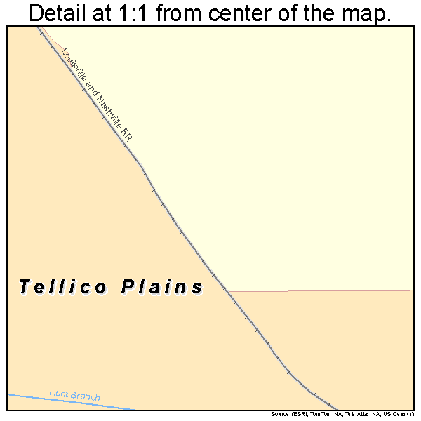 Tellico Plains, Tennessee road map detail