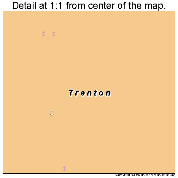 Trenton, Tennessee road map detail