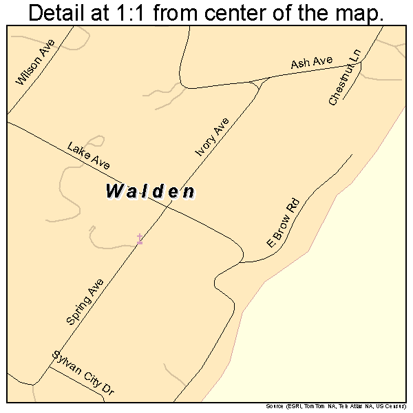 Walden, Tennessee road map detail