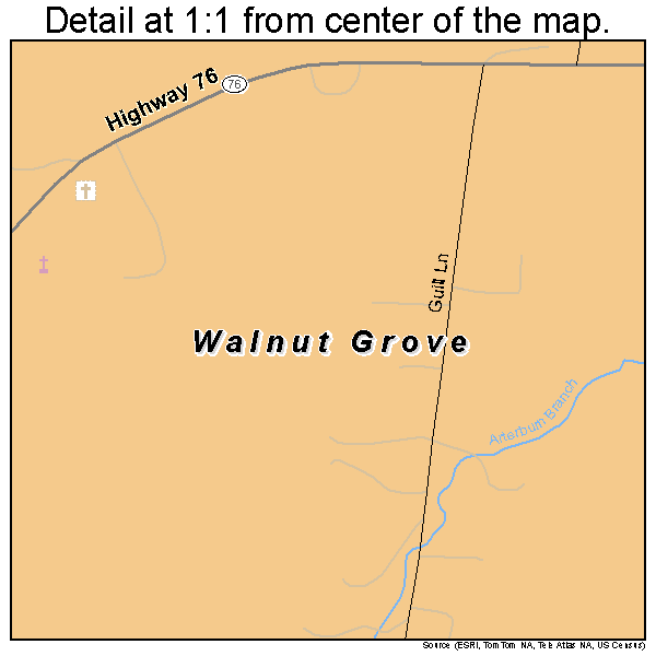 Walnut Grove, Tennessee road map detail