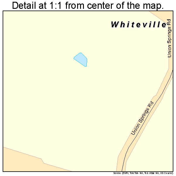 Whiteville, Tennessee road map detail