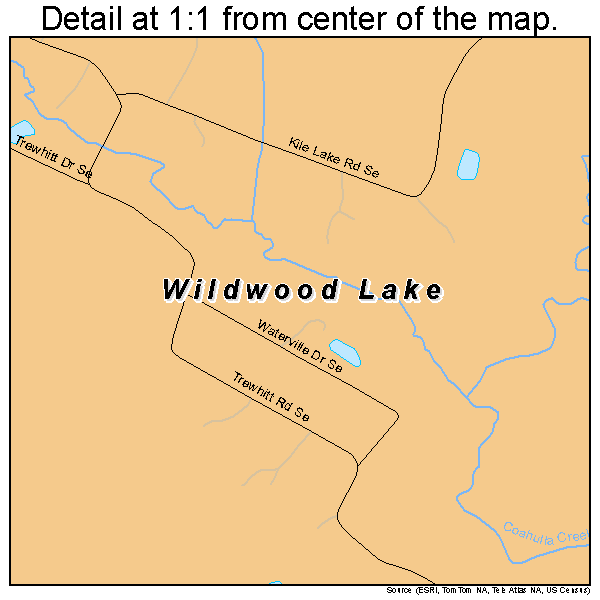 Wildwood Lake, Tennessee road map detail