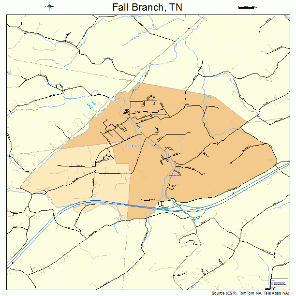 Fall Branch, TN street map