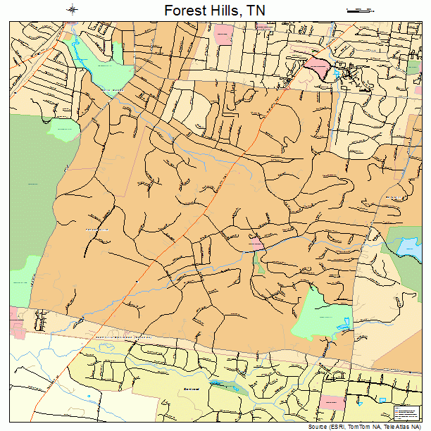 Forest Hills, TN street map